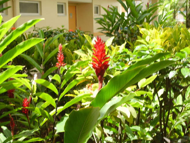 PICT1242.JPG