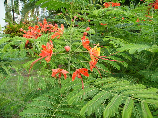PICT1259.JPG
