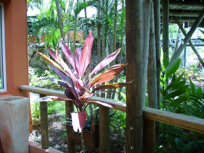 PICT1279.JPG