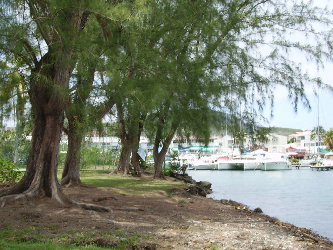 PICT1286.JPG