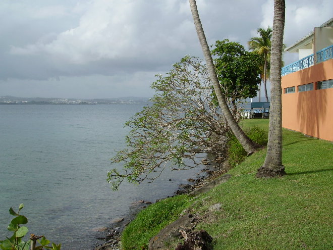 PICT1336.JPG