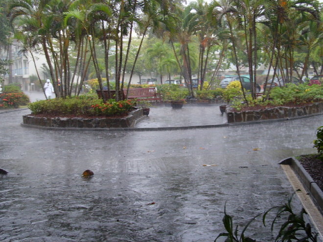 PICT1219.JPG