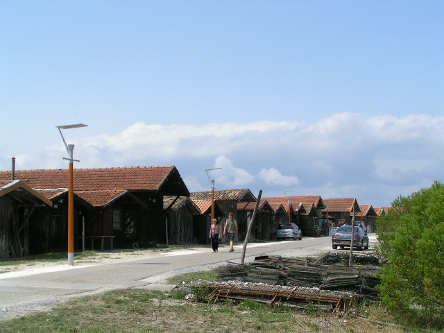 PICT0047.JPG