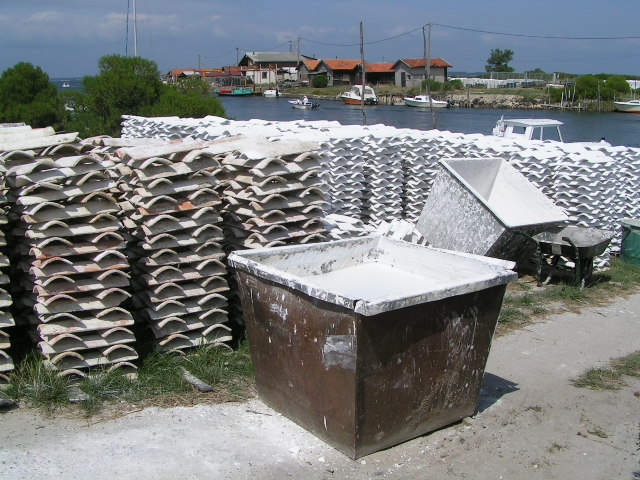 PICT0061.JPG