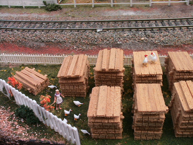 PHOTOARCHIVES 2009 5 038.jpg