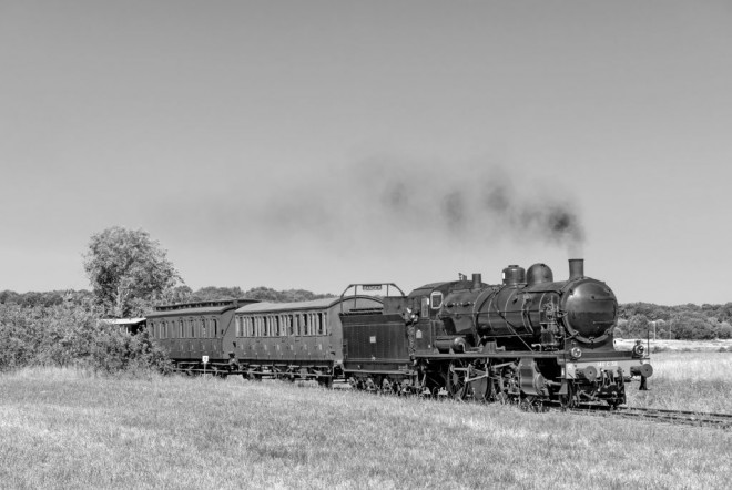 8-07-2018 Mornac-sur-Seudre Photo Jean-Marc Frybourg 3830s.jpg