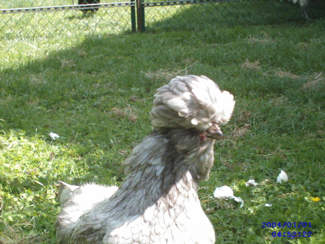 Photo 037.jpg