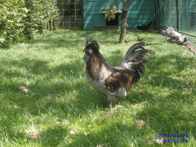 Photo 041.jpg