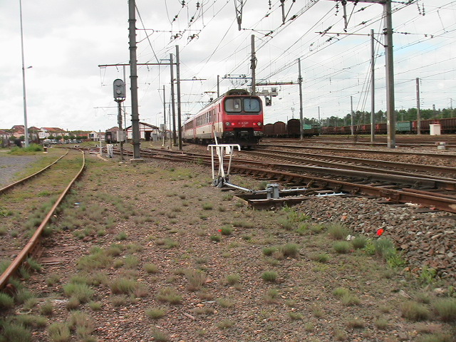 PHOTOARCHIVES 2009 5 068.jpg