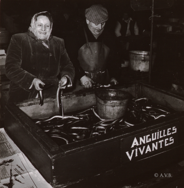 Bruxelles & Les anguilles vivantes_c-14130bordperdu.png