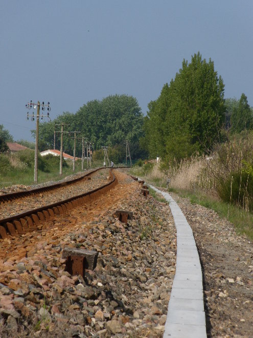 DSCN0095.JPG
