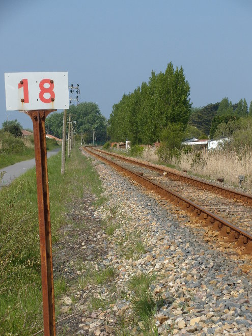 DSCN0097.JPG