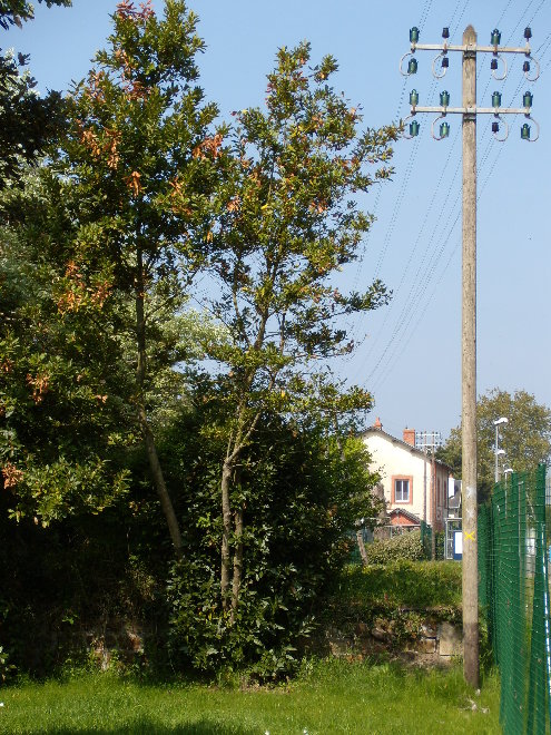 DSCN0104.JPG