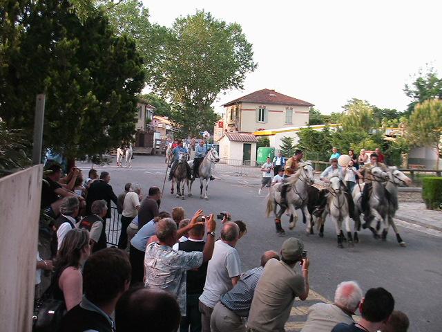 EXPO_QUISSAC_MAI_2009_-_AVIGNON_105_resized_by_rdd.jpg