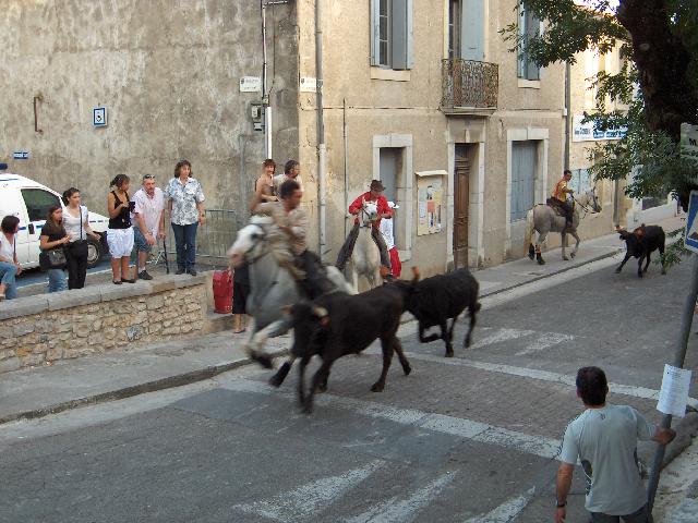 EXPO_QUISSAC_MAI_2009_-_AVIGNON_235_resized_by_rdd.jpg