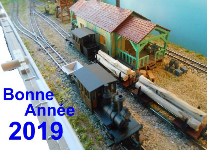 DSCNbonne année 2019.jpeg