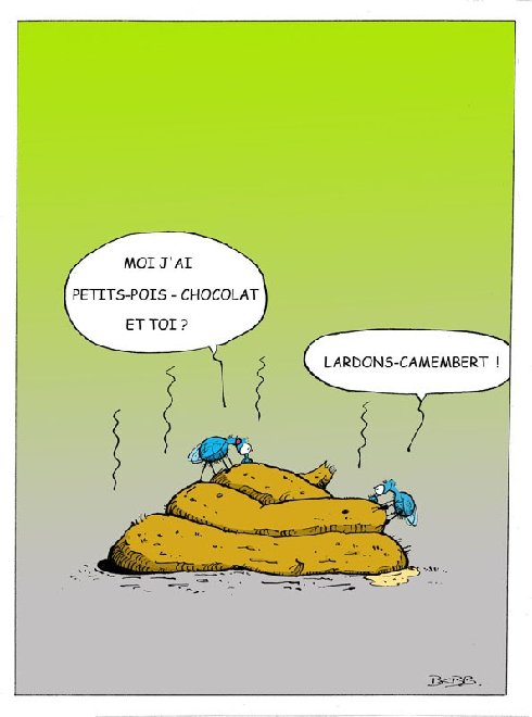 mouches1.jpg