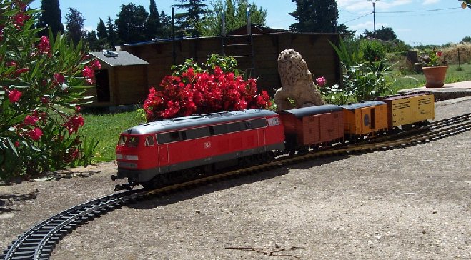 DCP_3685.JPG