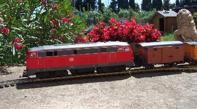 DCP_3686.JPG