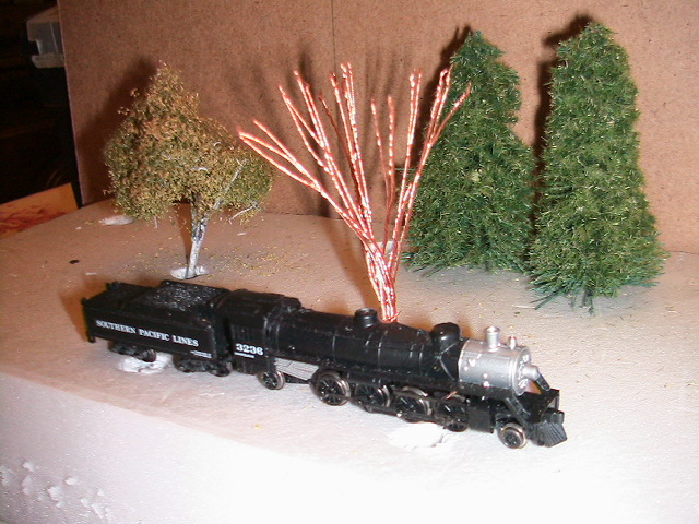 PHOTOARCHIVES 2009 6 017.jpg