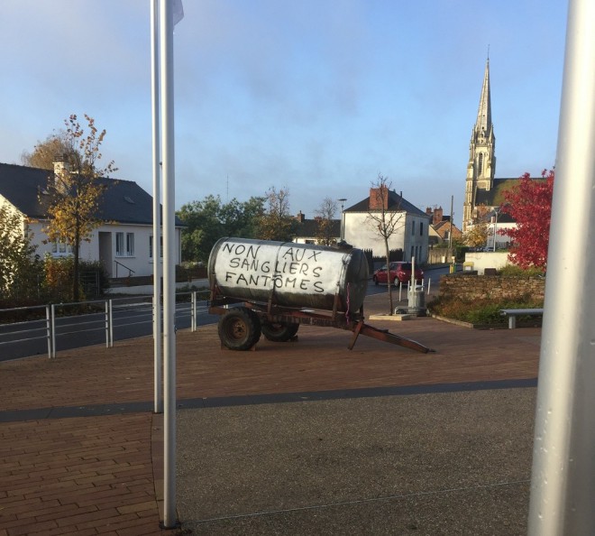sanglier.jpg
