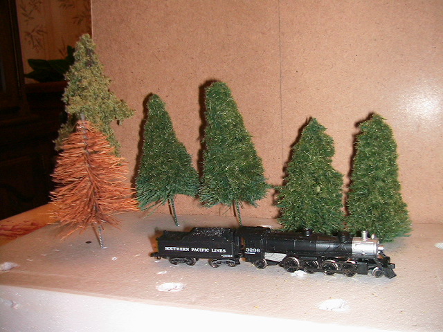 PHOTOARCHIVES 2009 6 015.jpg