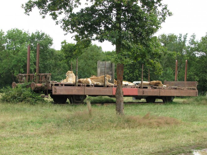 Wagon plat Port-Saint-Père (2).jpg