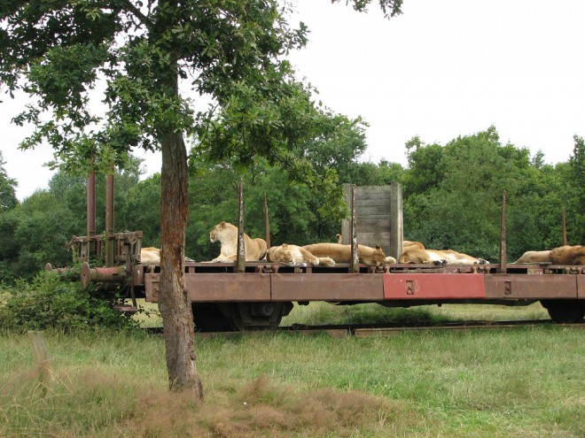 Wagon plat Port-Saint-Père (4).jpg