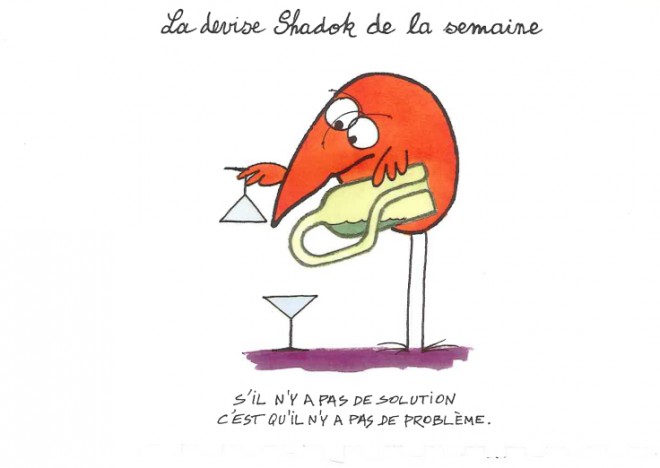 shadok8.jpg