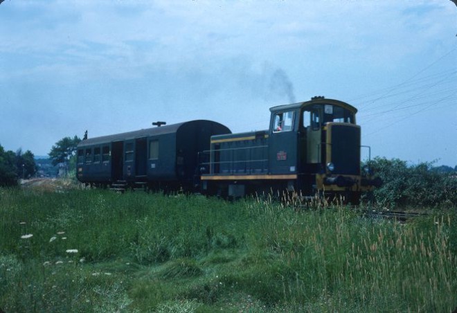 Omnibus Y.jpg
