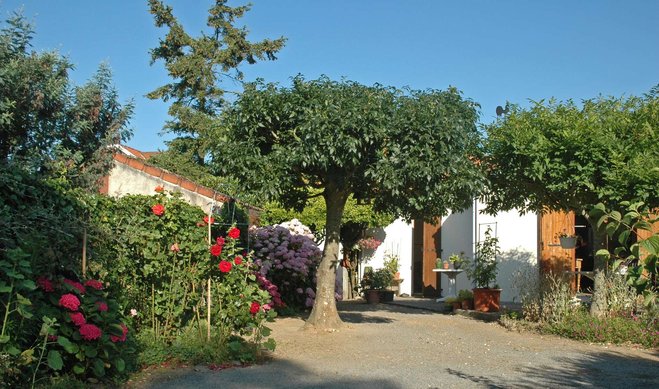 Hortenisas-008brw.jpg