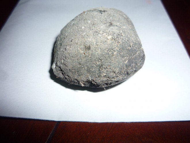 P1060010.JPG
