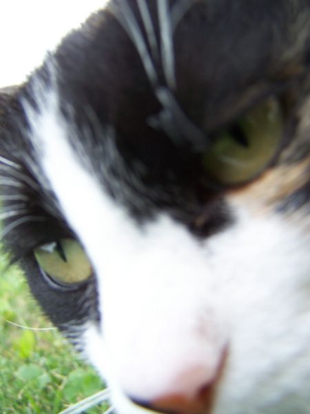 100_4396.JPG