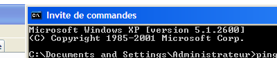 ROCO z21 et W-XP.PNG