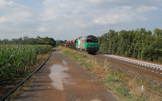 DSC_0024-1.JPG