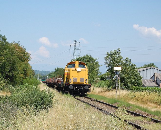 DSC_0041-2.JPG
