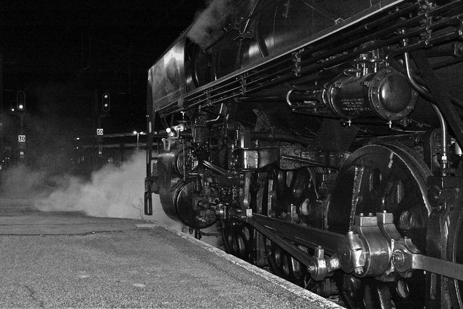 Belle-de-Nuit-003n§bw.jpg