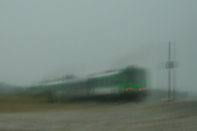 img_6533tn.jpg
