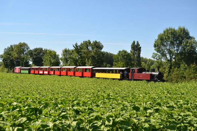 DSC_5786s P.Staehle.jpg