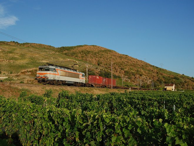 DSC_0086-2.JPG