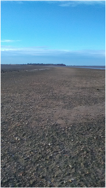 Port-des-Barques-passe aux boeufs_2019.PNG