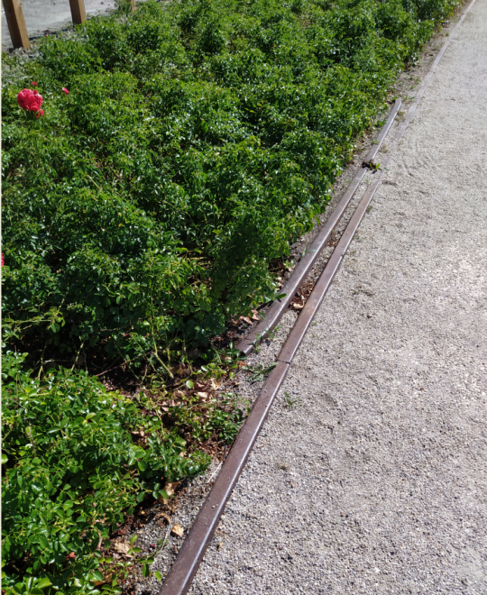 Blaye 33390 - voie enrobée devant la citadelle - contre-rail.PNG