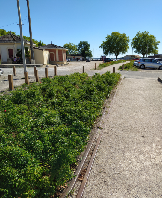 Blaye 33390 - voie enrobée devant la citadelle - contre-rail vue générale.PNG