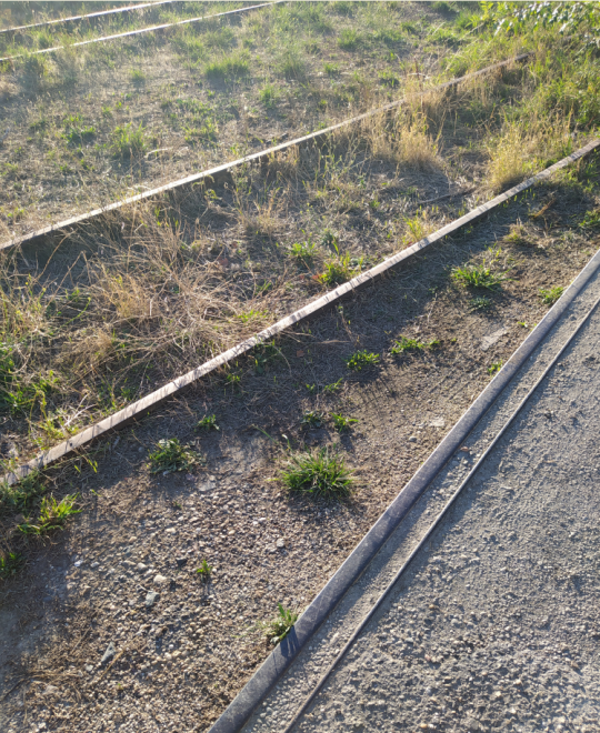 Blaye 33390 - voie enrobée au débarcadère - rail à gorge et rail normal.PNG