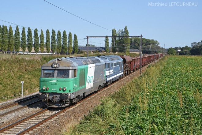 DSC_8516b2.jpg