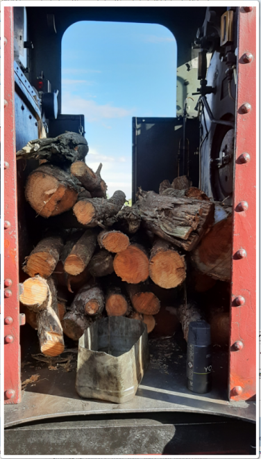TDM - Bois de chauffage by Cara.PNG
