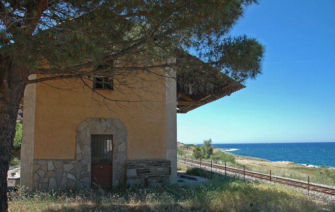Algajola-2009-202brw.jpg