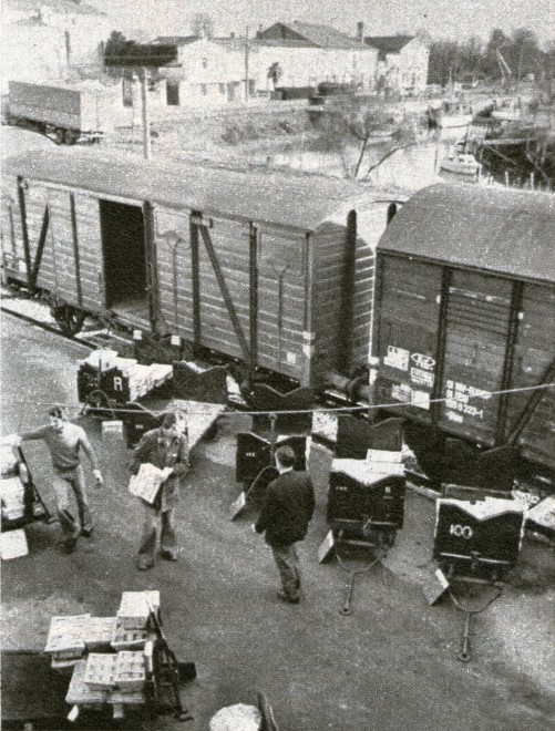 img054.jpg