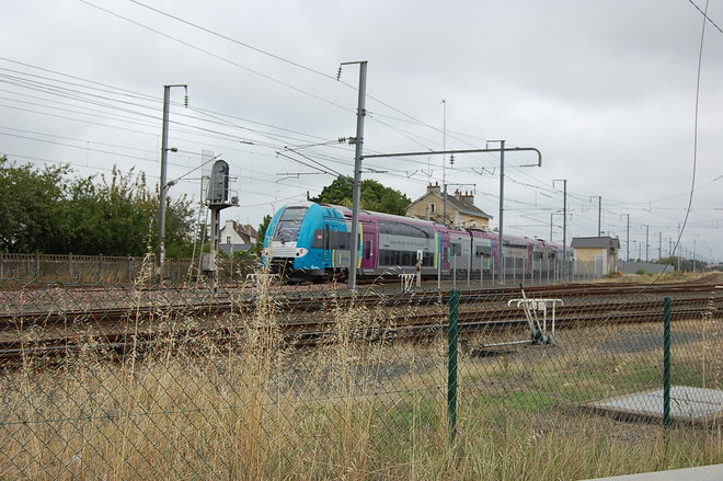 DSC_1911.JPG