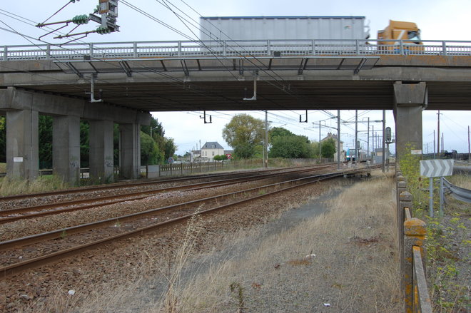DSC_1915.JPG